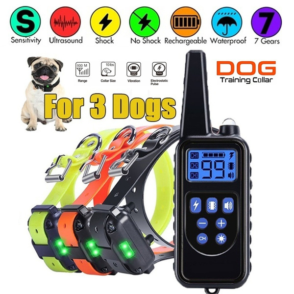 multiple dog shock collar