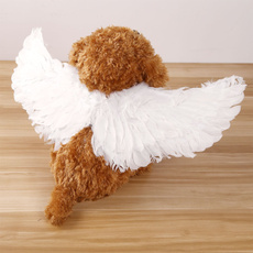 Angel, Wings, cosplaywing, Pet Products