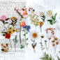 thumbnail - 1