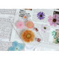 thumbnail - 3