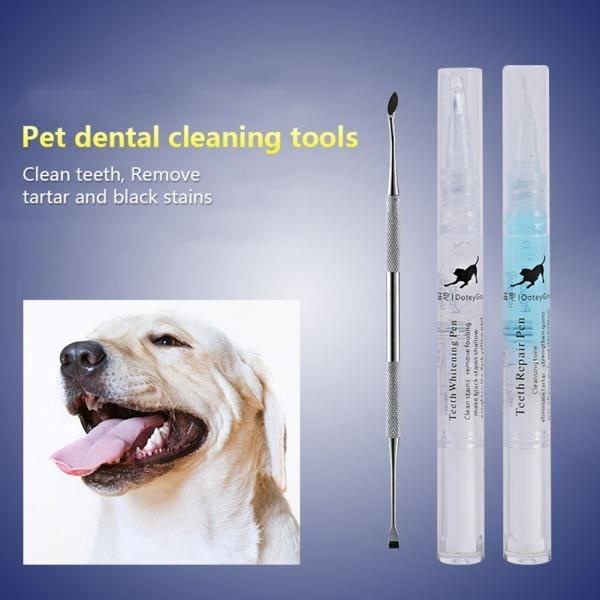 dog teeth whitening