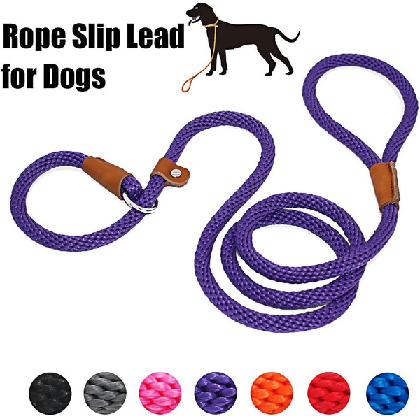slip leash training