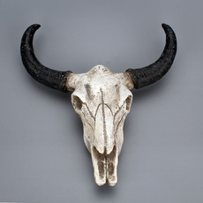 decoration, Decor, Animal, skull