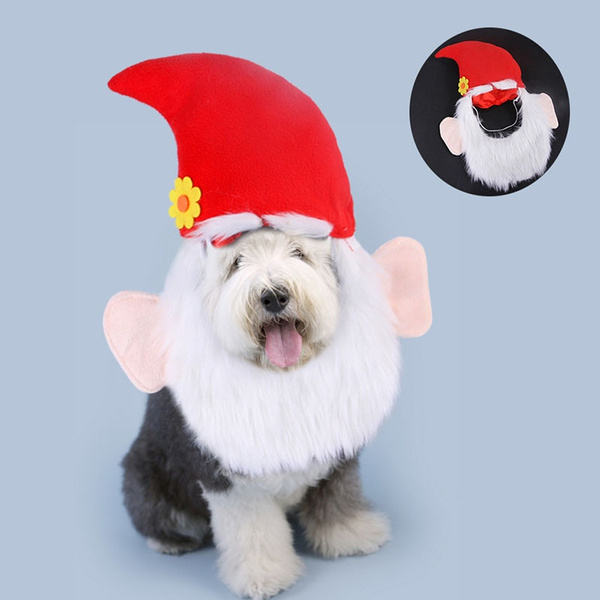 Funny shop dog accessories