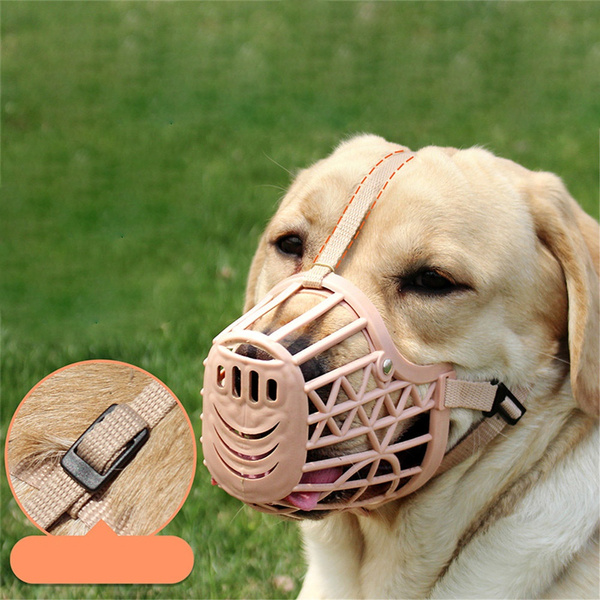 Plastic basket dog deals muzzle