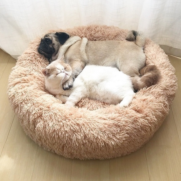extra large round dog bed