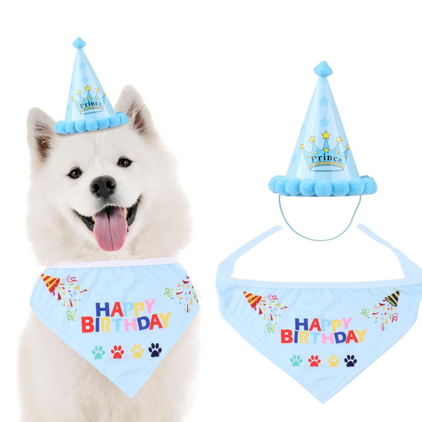 Mascota Linda Fiesta De Cumpleaños Cono Sombrero Y Mascota Linda Fiesta De Cumpleaños Cono Sombrero Y