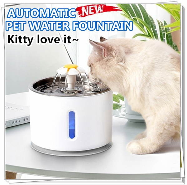 pet water drinking machine