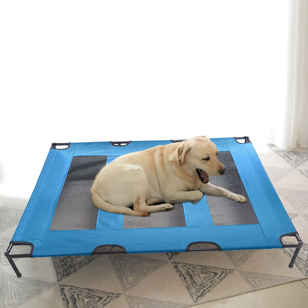 coleman dog cot large