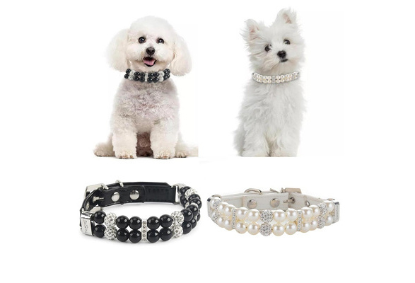 pearl dog collar
