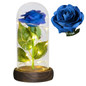 thumbnail - 1