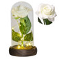thumbnail - 2