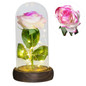 thumbnail - 8
