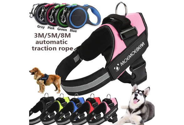 moemoe bear dog harness