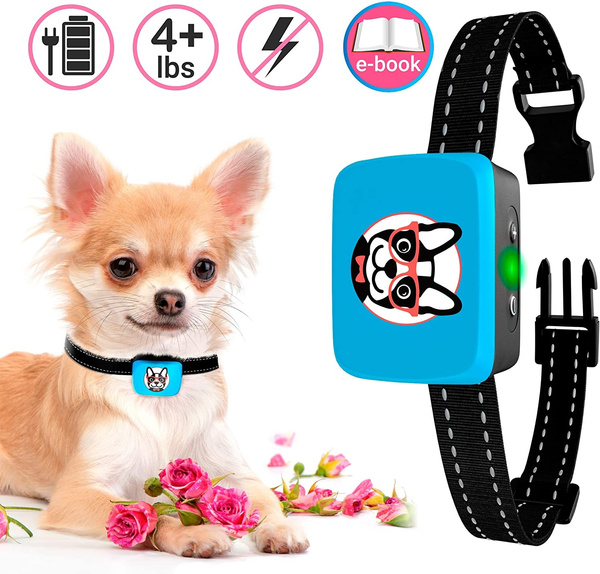 Little dog clearance bark collar