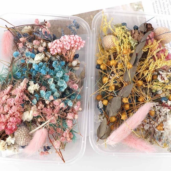 A Box of Natural Dried Flowers DIY Mixed Color Random Flower Set