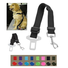 Fashion Accessory, Harness, seatbelt, Pets