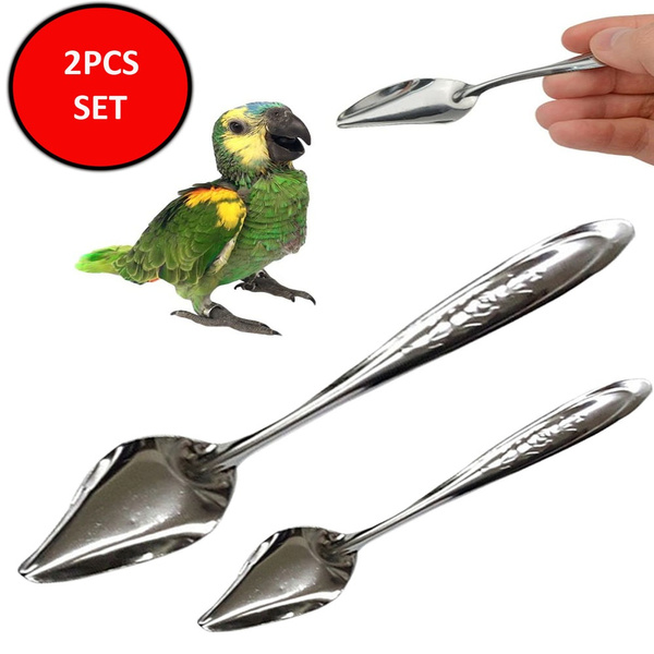 Baosity Bird Cockatiel Parrot Milk Powder Steel Metal Feeding Spoon Hand Feed Spoons 
