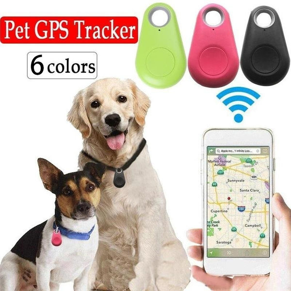 dog tracker tag