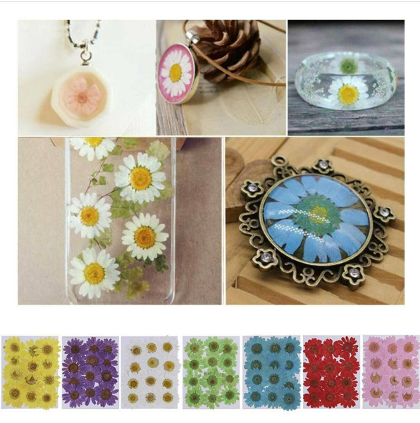 12pcs Pressed Flower Dried Daisy Flowers For Art Crafts Resin DIY Jewelry  Making