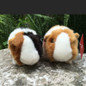 thumbnail - 5