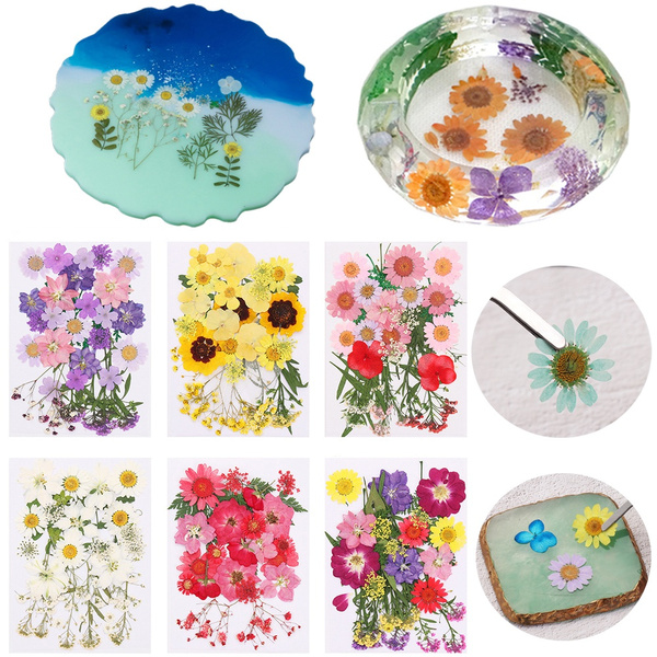 DIY Crafts Resin Filler Resin Mold Filling Flower Beauty Decal Dried Flowers 