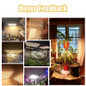 thumbnail - 1