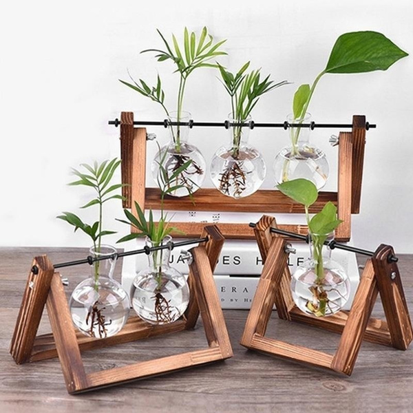 Hydroponic Plant Vase Transparent Glass Vase in Wooden Stand for Office Decor 