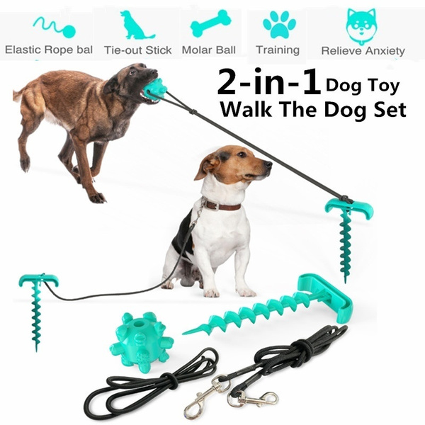 Toy walking dog with leash sale