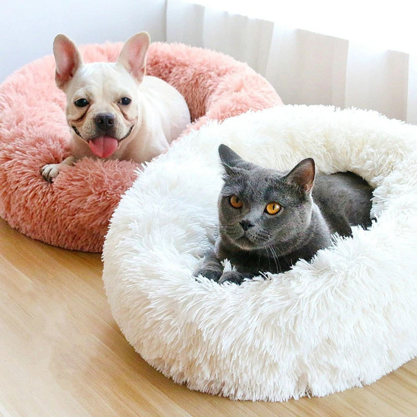 Amazingly cat sale marshmallow bed reviews