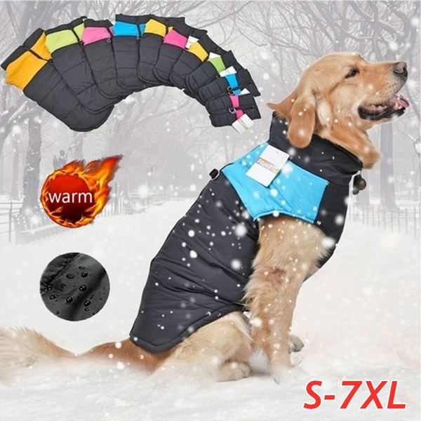 dog jacket with zipper on back