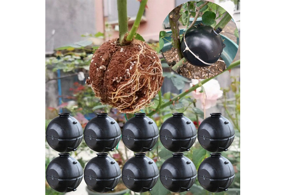 3pcs For Garden Plant Rooting Sphere Graft Rooting Growing Box Breeding Crate 