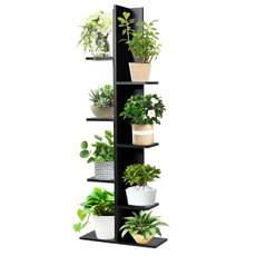 Plants, Modern, Home & Living, Shelf