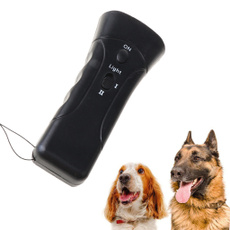 Training, led, Pets, Travel