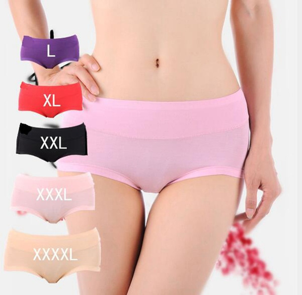 Womens Underwear Plus Size Breathable Cotton-Mesh Brief Underwear