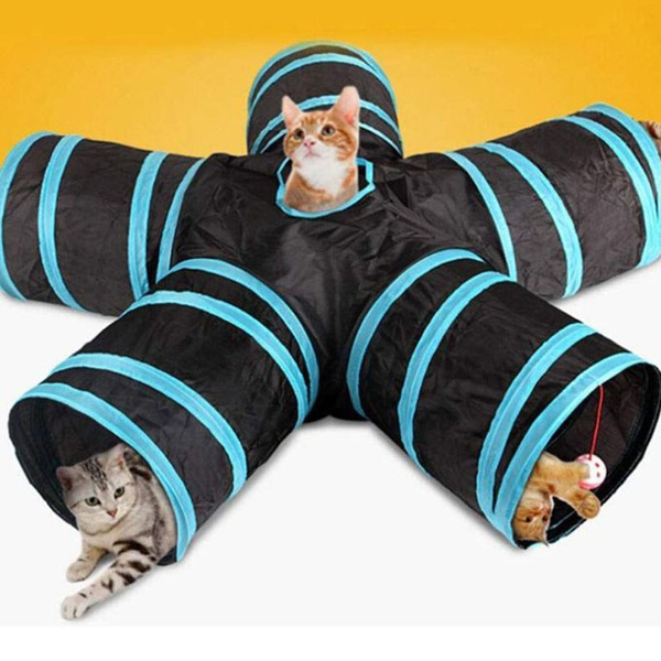 kitten play tent