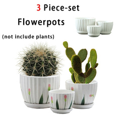 decoration, flowerpotdecoration, planter, flowerpotsproductsforhome