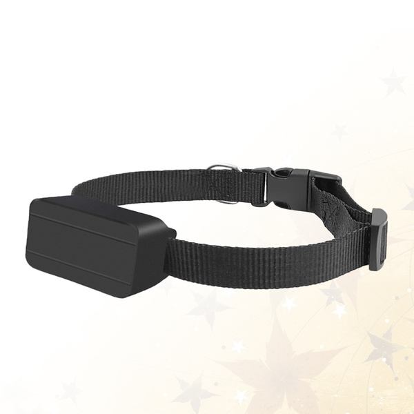 dog collar locator