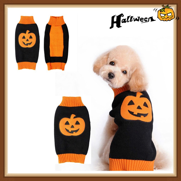 dog pumpkin sweater