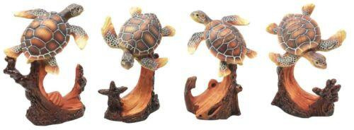 nameamphibianidanimal, Collectibles, Swimming, namereptilesidamphibian