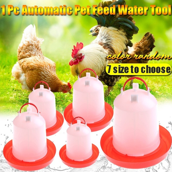 Automatic Pet Feeder Chicken Quail Poultry Bird Pheasant Feed Water Tool 30_dr 