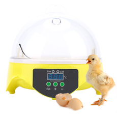 eggshatch, automaticincubator, temperaturecontrol, egghatcher