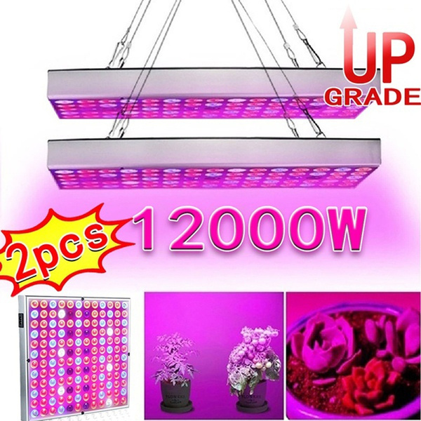 led grow lights wish