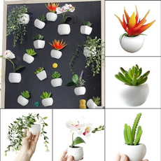 Home & Kitchen, Plants, magneticsucculentplant, Home & Living