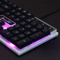 thumbnail - 5