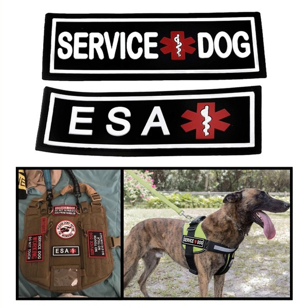 service dog backpack