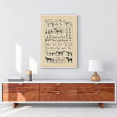 horse, art, Animal, Office