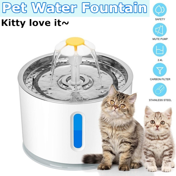 wish cat water fountain