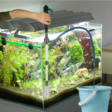 fishaquarium, Tank, Electric, fish