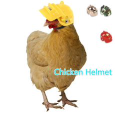 Head, Fashion, new product, chickenhelmet